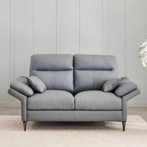 Terraroza Half Leather 2-Seater Sofa with Cushions - Grey